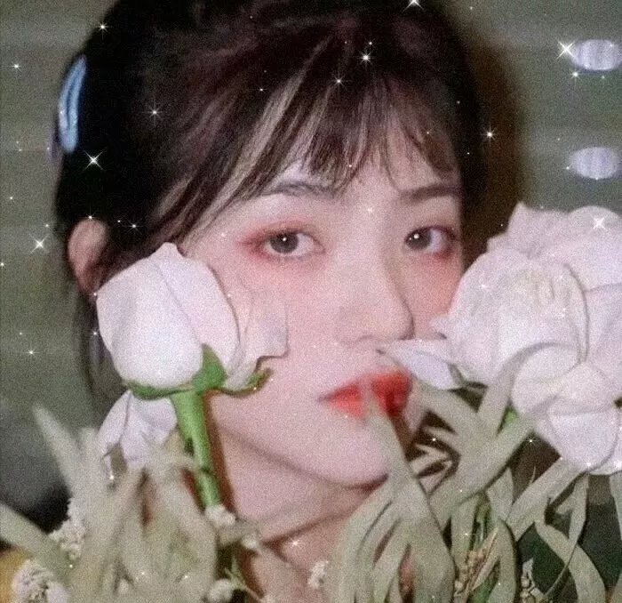新扎师兄追女仔